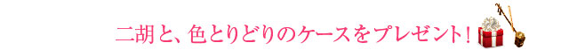 二胡と、色とりどりのケースをプレゼント！