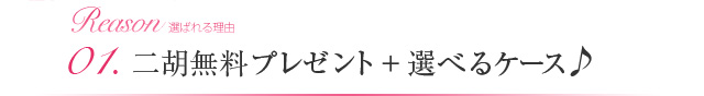 01.二胡無料プレゼント+選べるケース♪